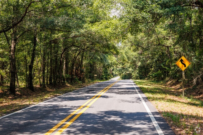 Canopy roads provide a beautiful afternoon drive in the country in Southeast Tallahassee.