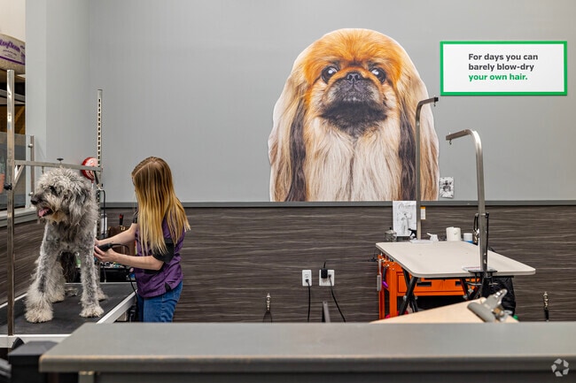 Residents of Ypsilanti Township can bring furry friends to Pet Supplies Plus for a spa day.