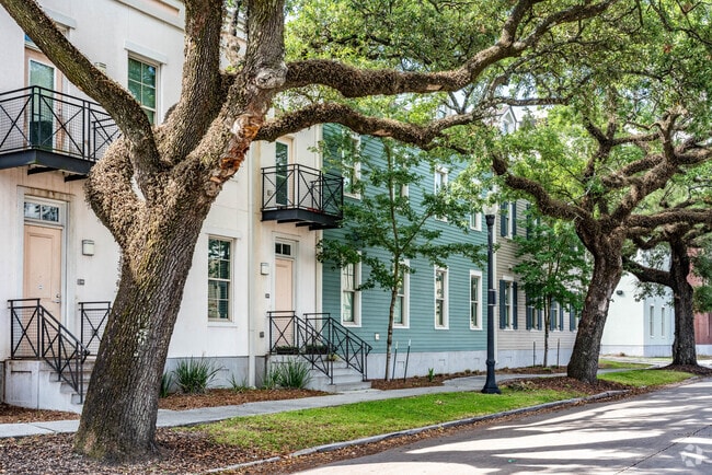 Townhomes with large Live Oaks line the sidewalks in the Iberville neighborhood.