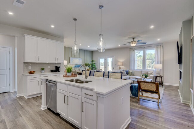 357 Chapin Place Way, Chapin, SC 29036 - photo 2