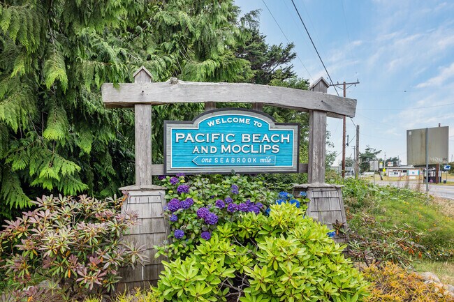 Pacific Beach in a small town in northwestern Washington with population of around 280 people.