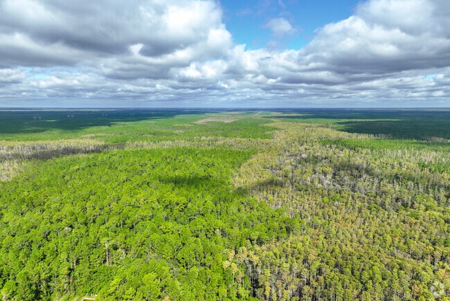 Greater Daytona is home to the Tiger Bay State Forest and Preserve.