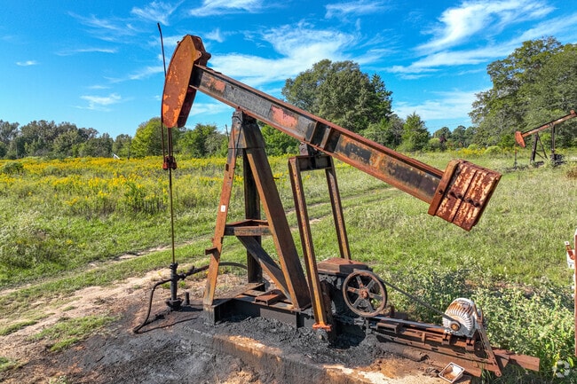 Oil is a part of the Vivian econemy with scattered oil pumps around.