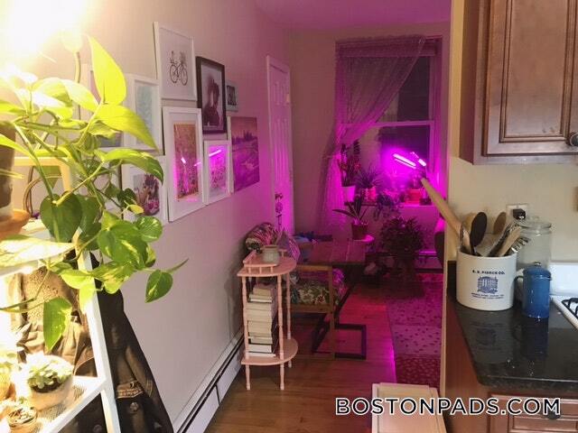 28 Fleet St unit 9, Boston, MA 02113 - photo 6