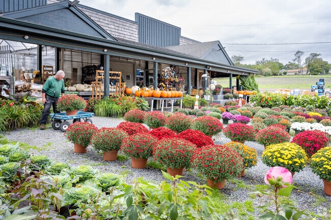 Enhance your garden with lovely decor from Mello Farms and Flowers in Common Fence Point.