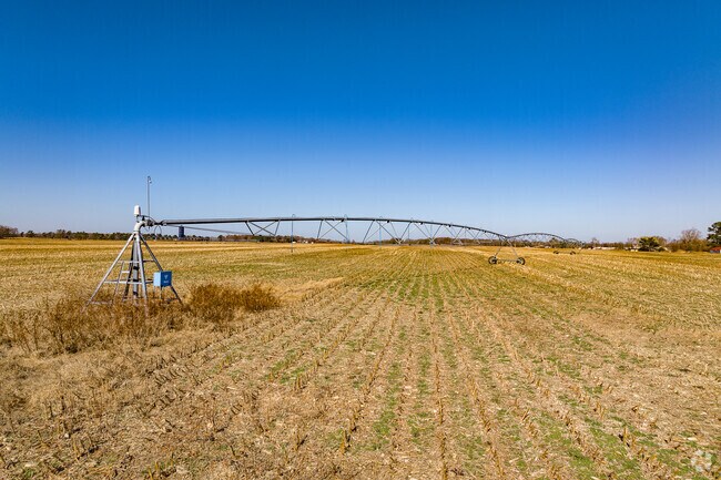 Cotton fields across Ready Crossing are saturated by large irrigation sprinklers.
