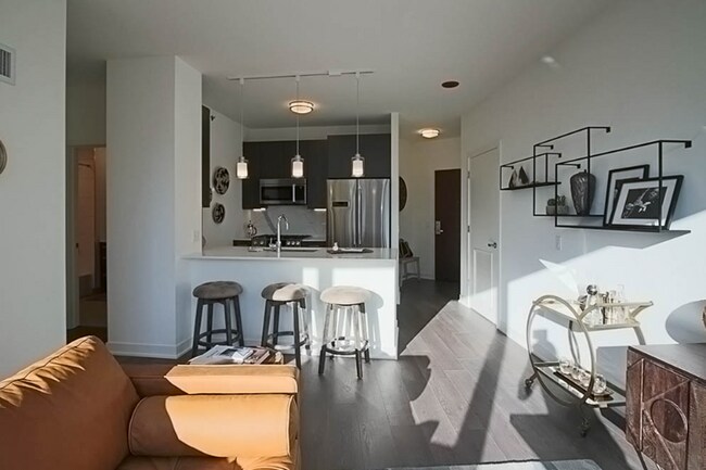 456 N Park Dr, Chicago, IL 60611 - photo 3