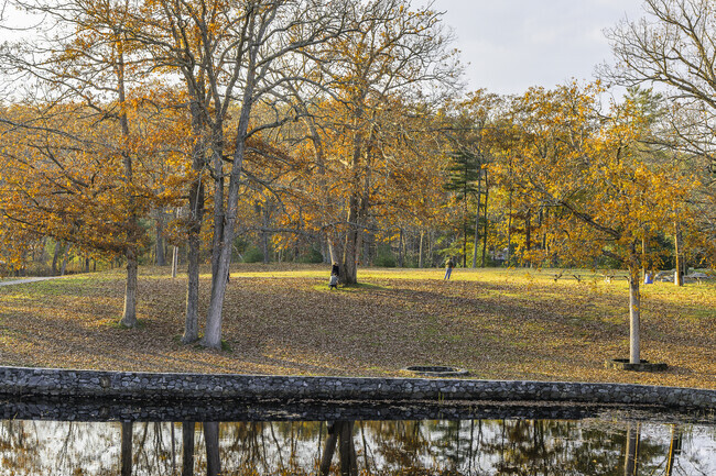 A family relishes a fall afternoon among the leaves at Diamond Hill Park in Arnold Mills.