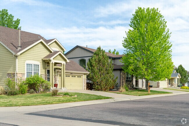 A row of contemporary single-family homes in Quail Valley showcases modern design with clean lines, open layouts, and spacious interiors, offering a blend of style and comfort.