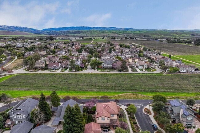 Many homes in Dunsmuir are located near vineyards that are locally owned.