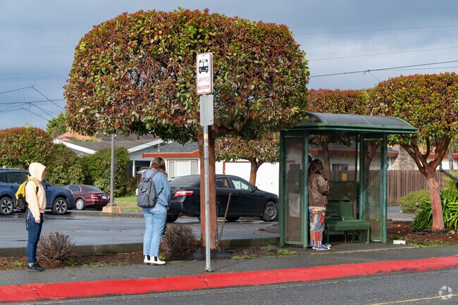 Public transportation is readily available throughout Westwood-Vasside.
