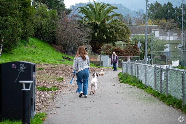 There are plenty of great parks to walk dogs in San Anselmo.