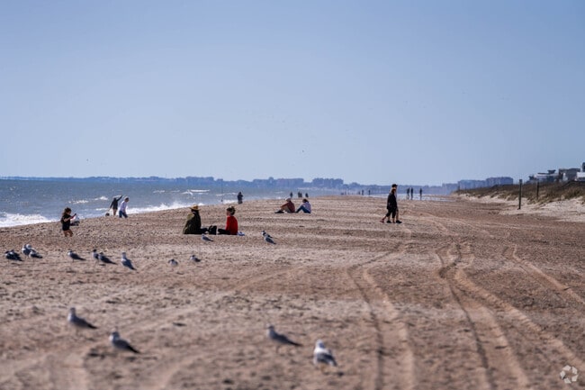 The sandy beaches are the main attraction for both residents and visitors of Amelia Island.