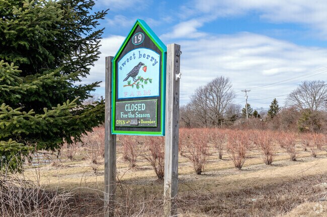 Sweet Berry Farm in Whitehall offers fresh fruit from its groves and seasonal produce.