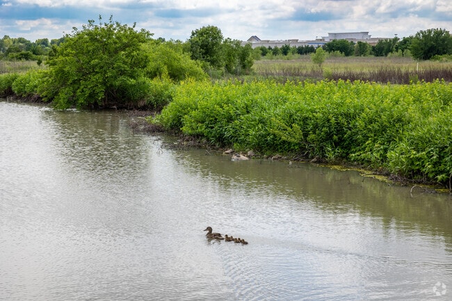 The Pracht Wet Lands are full of beautiful nature and scenery in Aberdeen.