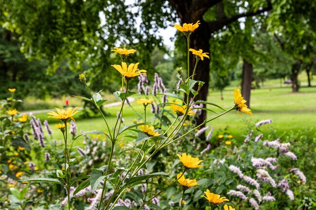 A variety of flowers can be found in the Nokomis Naturescape Garden.