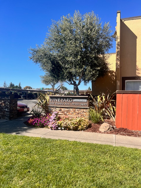1624 Pueblo Ave Unit 3, Napa, CA 94558