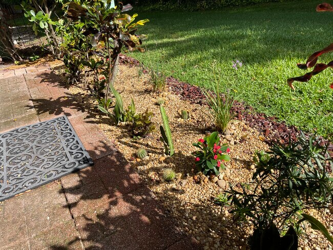 Back garden