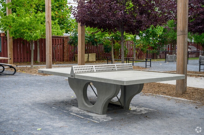 Park-goers can play table tennis at Braddock Interim Open Space in Parker-Gray.