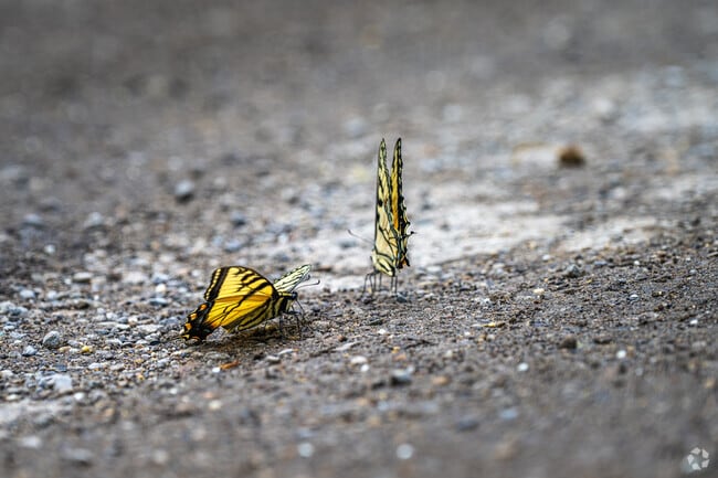 Traveling around Avella you are sure to find beauty in nature everywhere you turn.