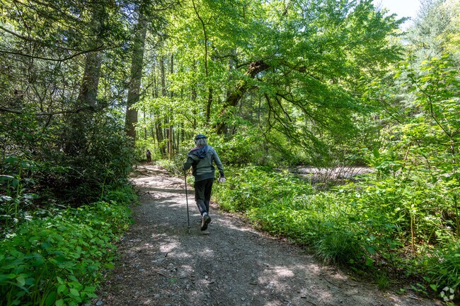 Hendersonville locals enjoy going hiking at Chimney Rock and DuPont Park.