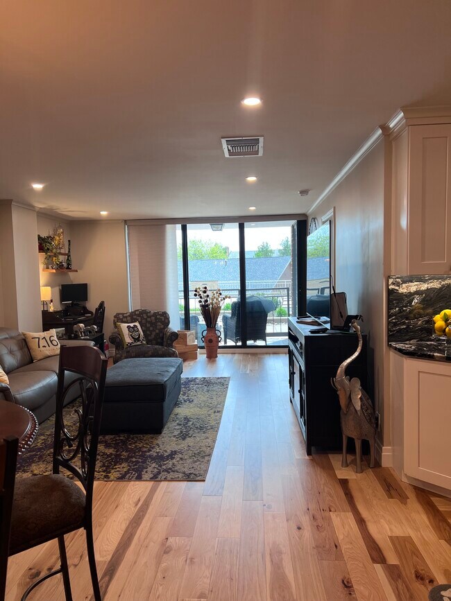 200 Lakefront Blvd unit 205, Buffalo, NY 14202 - photo 2