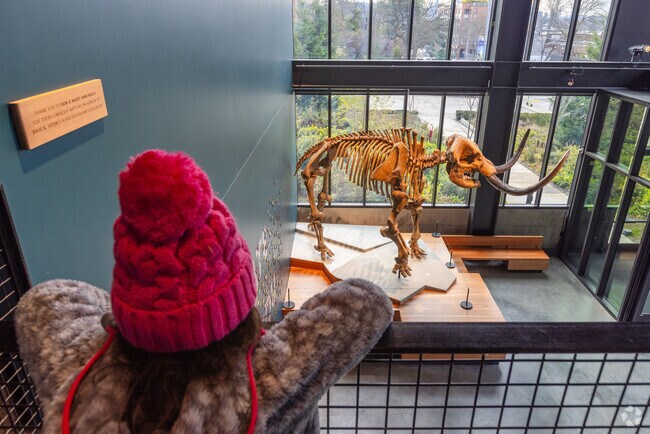 Children friendly exhibits at Burke Museum.