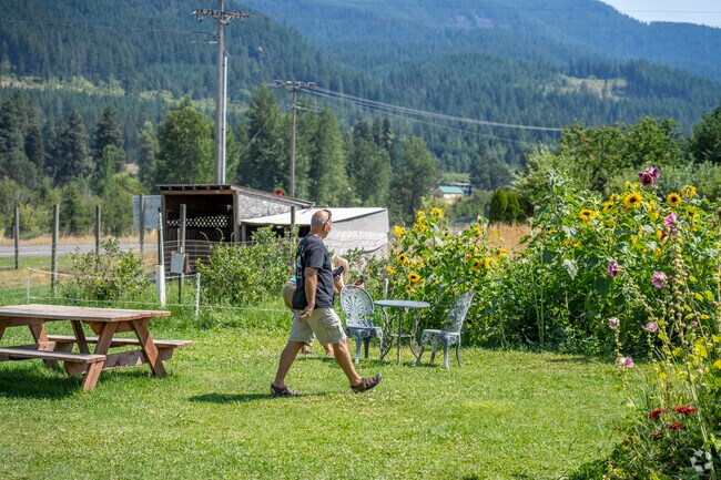 There are a lot of sunflowers to pick in the Draper Girls Country Farm.