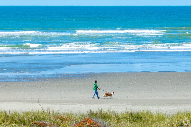 Go for long walks on the beach every afternoon in Westport.
