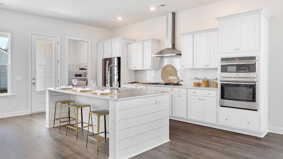 201 Threaded Fern St, Summerville, SC 29485 - photo 1