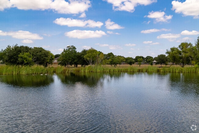 Nature lovers can explore local flora and fauna at Blueridge Park.