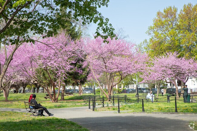 Amersfort park, a nice little getaway in the heart of the Flatlands neighborhood.
