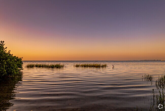 At sunset, the Tampa Bay comes alive with artistic flair in Greater Pinellas Point, Florida.