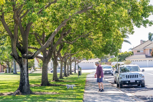 Locals enjoy walking their pets among the shade trees at Cabrillo Park.