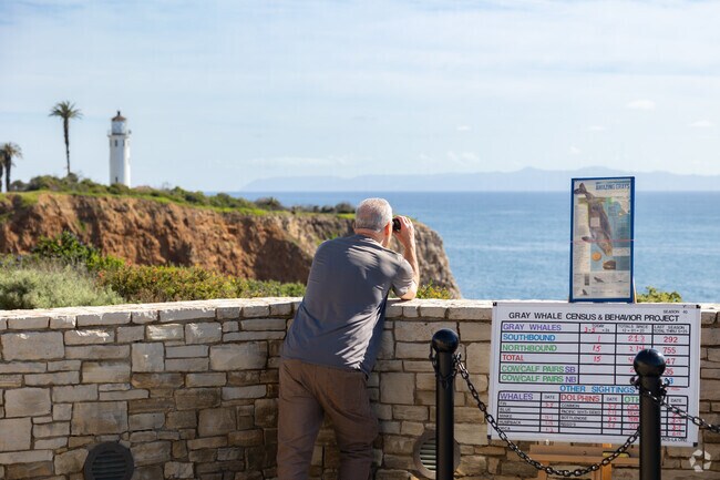 Bring your binoculars and go whale watching in Rancho Palos Verdes, CA.