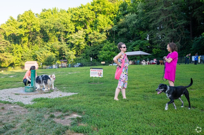 Even with Mount Vernon District Park closed, Groveton’s dog parks keep tails wagging.