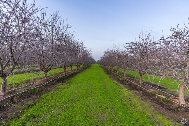 Madera is known for growing almond orchards and grapevines.