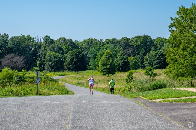 The National Arboretum has paths, fields and woodlands in addition to manicured gardens.