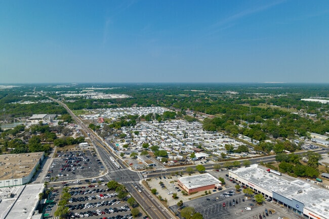 New Tampa Highway runs through the Lone Palm neighborhood.