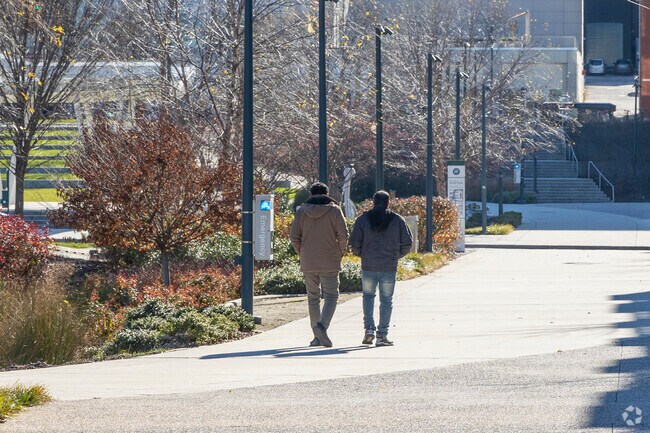 Walking path at Eager Park.