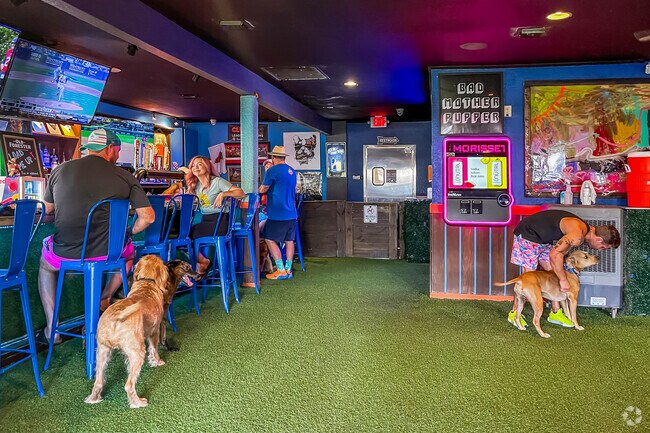 There is nothing better than a bar made for you & your furry friend, so check out Pups Pub.
