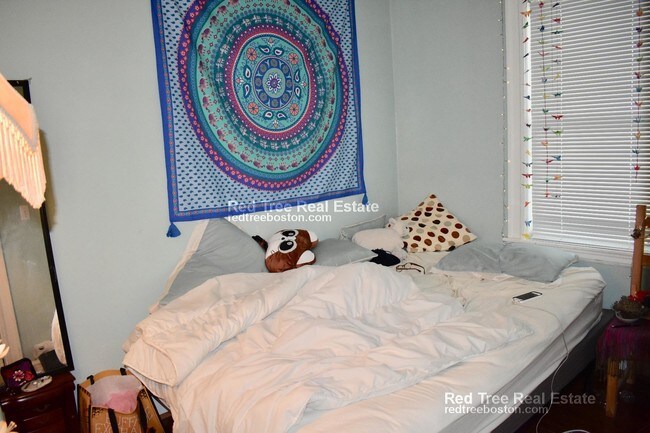 42 Day St unit A, Jamaica Plain, MA 02130 - photo 7