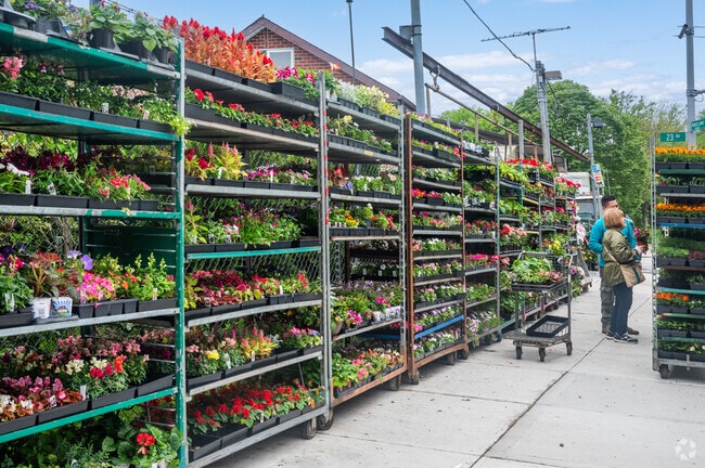Clearview is one of the greener neighborhoods in Queens, and this vibrant roadside flower shop beautifully reflects its natural charm.