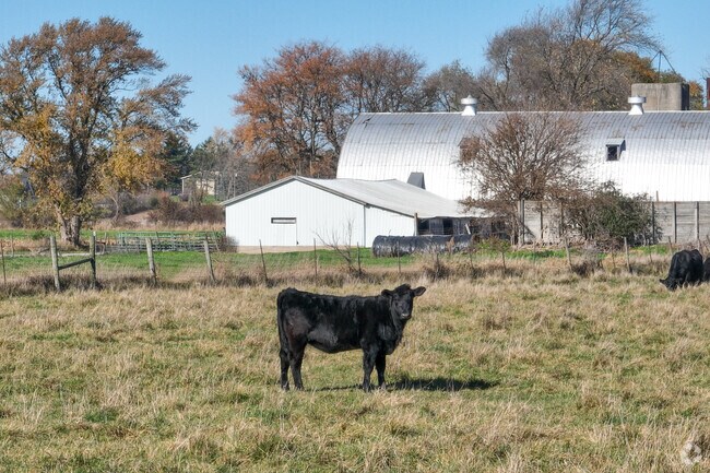 Many residents of Leroy have livestock farms.
