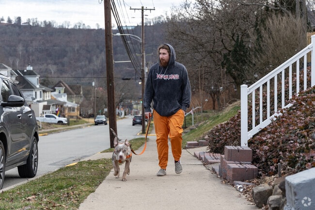 Springdale residents love to walk their dogs around the neighborhood.