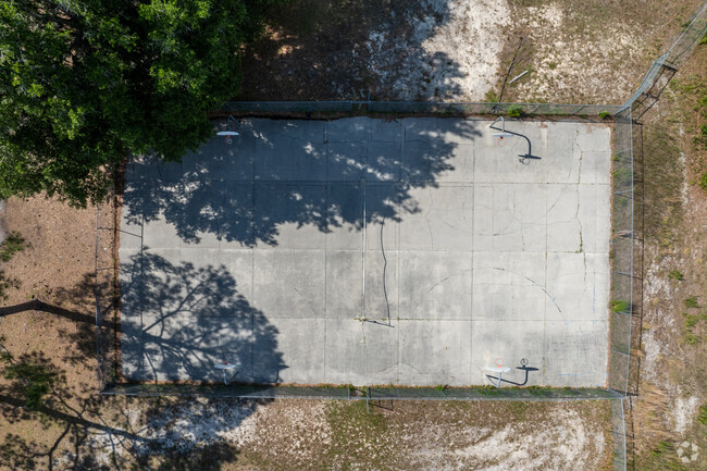 Play basketball at Professional Academy Magnet at Loften High School.