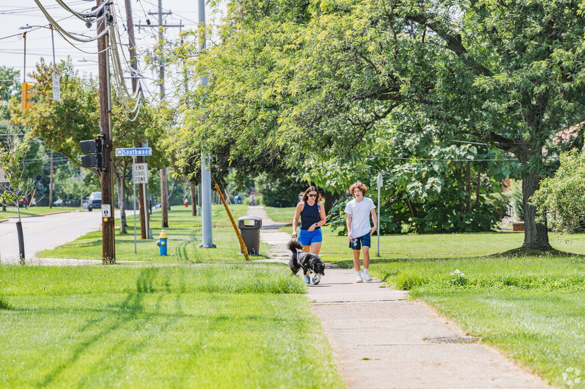 Brooklyn has plenty of sidewalks for its families to walk their dog.