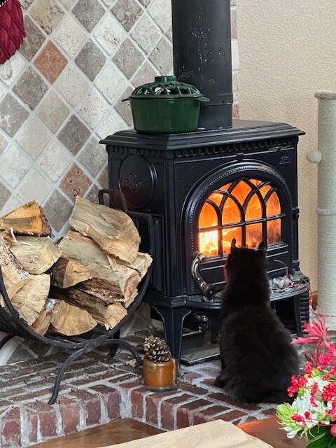 319 Mountain Climb Rd, Loveland, CO 80537 - photo 7