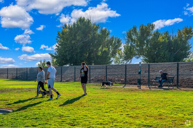 East Lathrop residents play with their dogs at the Mossdale Landing dog park.