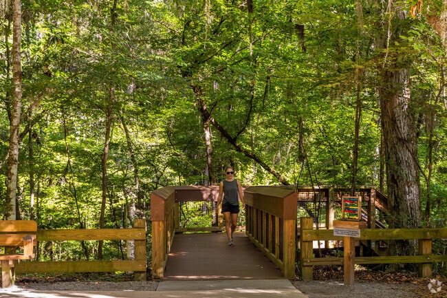 Walk the boardwalk though the canopy at Devil's Millhopper Geological State Park.